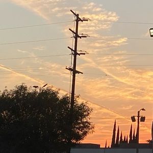 Meet your Posher, Anne